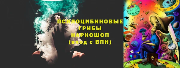 ПСИЛОЦИБИНОВЫЕ ГРИБЫ Алзамай