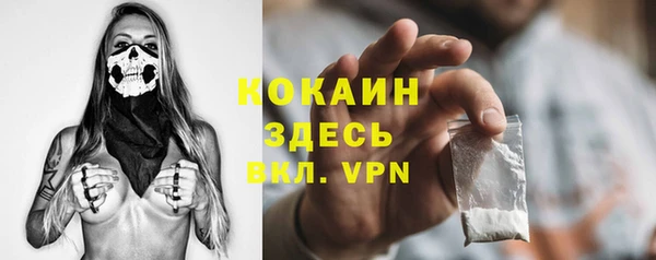 индика Алексеевка