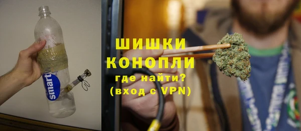 ПСИЛОЦИБИНОВЫЕ ГРИБЫ Алзамай
